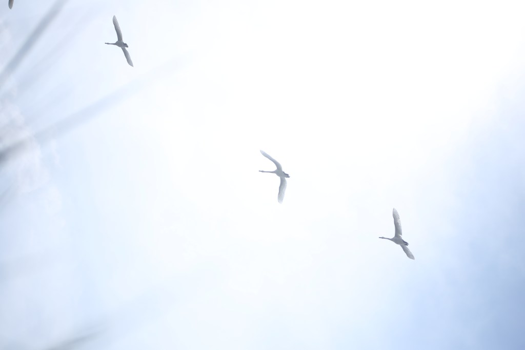 Dieses Bild hat ein leeres alt-Attribut; sein Dateiname ist img_0750-1.jpg